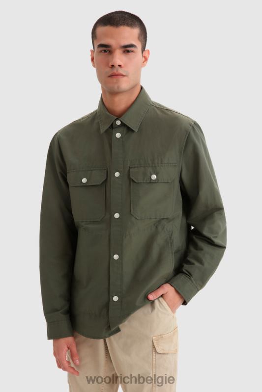 klimop groen